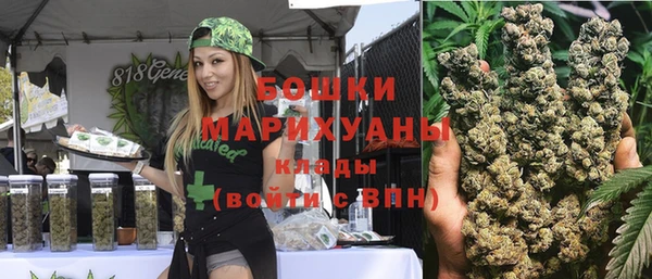 МДПВ Лиски
