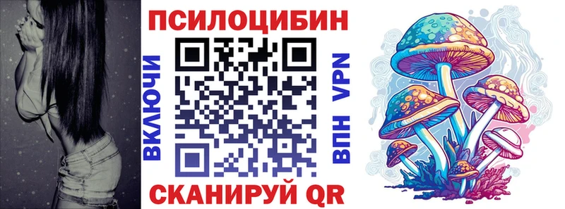 наркота мега вход Псилоцибиновые грибы Psilocybe Шарыпово